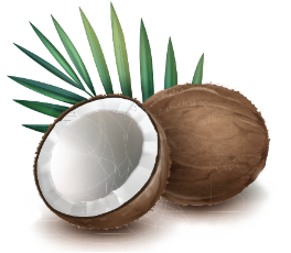 Kokosy