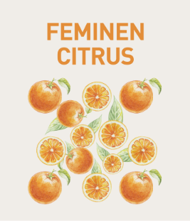 Vůně Feminen Citrus - Pomeranče