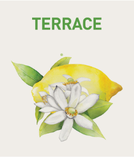 Vůně Terrace - Citrón s květy